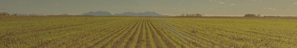 AAG-Labour Services-Contact-Banner