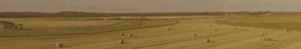 AAG-Labour Services-Our Team-Banner